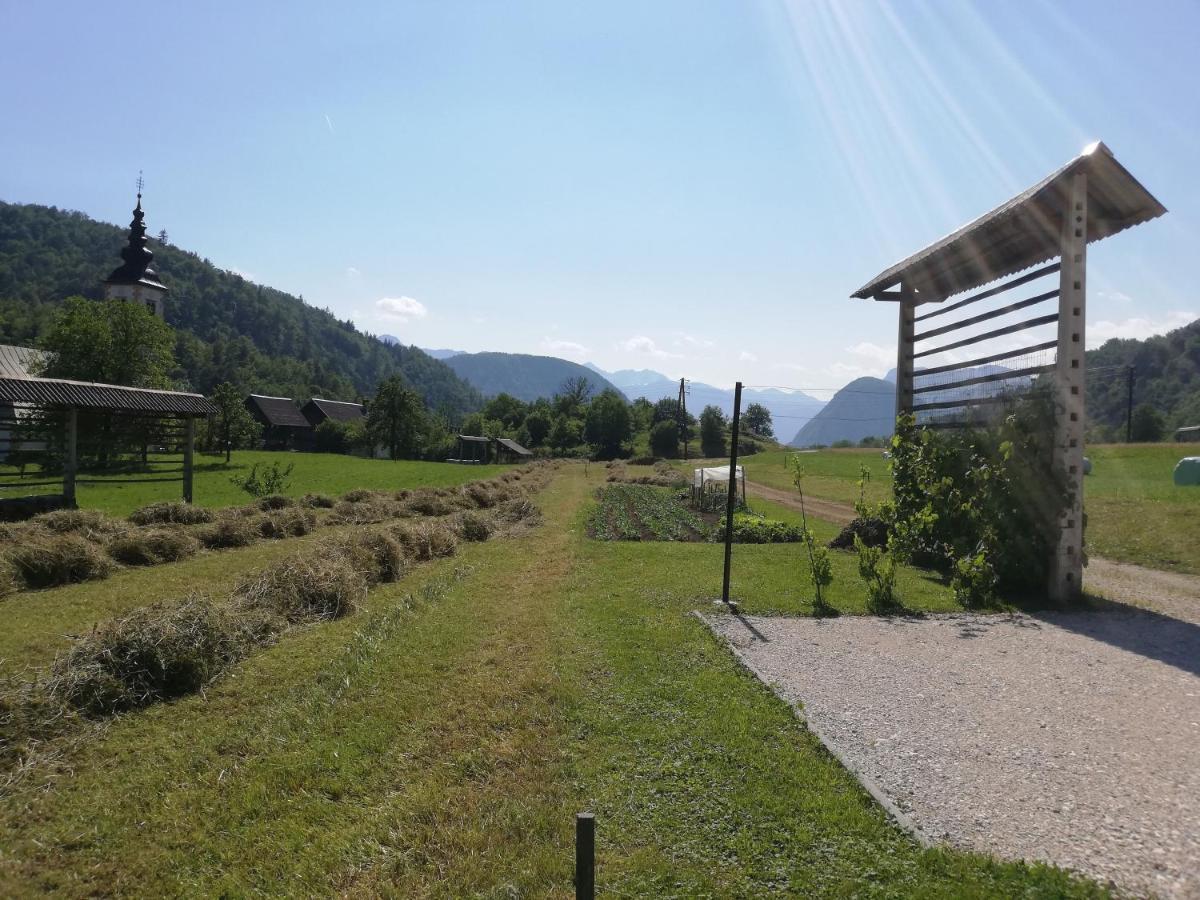 Soba Pri Bregarju Apartment Bohinj Exterior foto