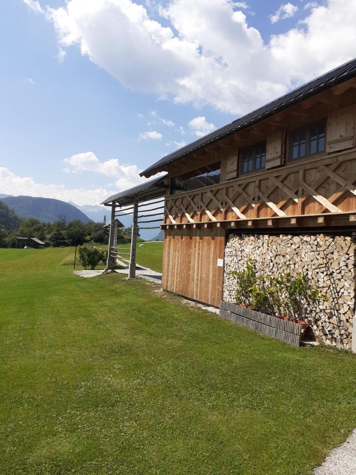 Soba Pri Bregarju Apartment Bohinj Exterior foto